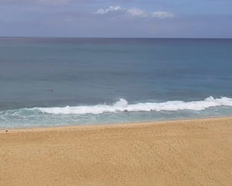 Ehukai Beach Live Webcam Oahu Hawaii