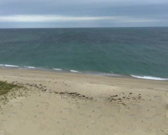 Great Point Beach Webcam in Nantucket
