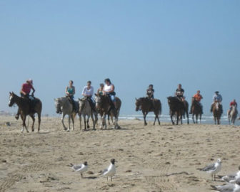 South Padre Island Adventure Park Live Cam