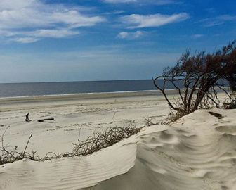 Discover Jekyll Island