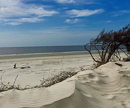 Discover Jekyll Island