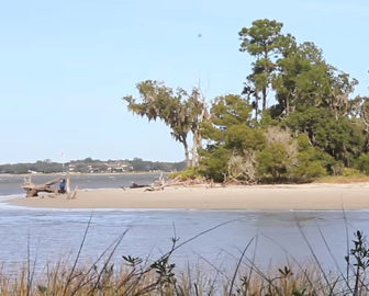 Explore Jekyll Island