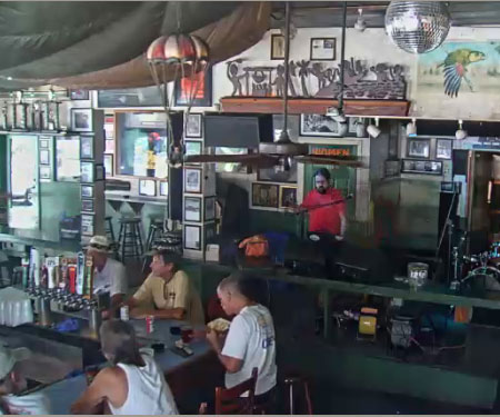 Green Parrot Bar Cam in Key West