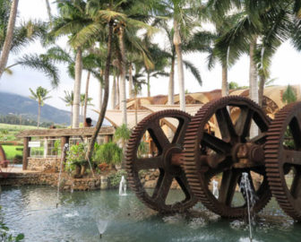 Gear Pond Cam at Maui Tropical Plantation Maui, HI