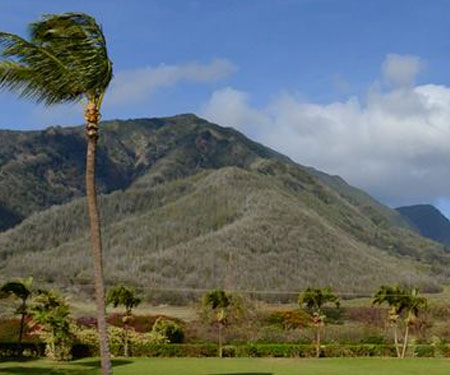 Maui Tropical Plantation Webcam Maui, HI