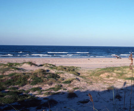 Malaquite Beach Cam - Padre Island National Seashore