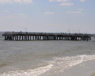 Saint Simons Island Pier Cam