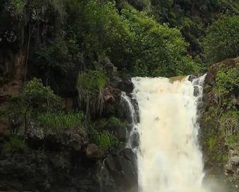 Waimea Falls Live Cam from Oahu Island