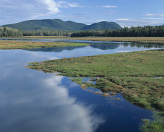 Bass Harbor Marsh Webcam