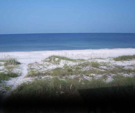 Cape San Blas Live Webcam