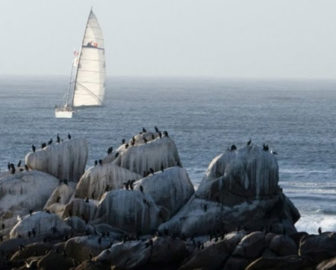 Bay Cam by Monterey Bay Aquarium