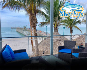 Sharky's on the Pier Live Webcam Venice FL