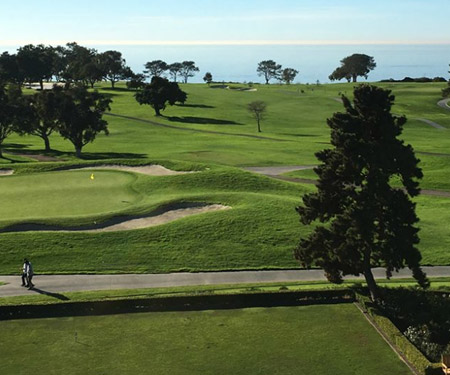 Torrey Pines Golf Course Live Cam