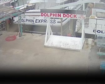 Dolphin Dock Charters East Cam