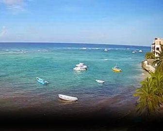 Yellow Bird Hotel Webcam in Barbados, Caribbean Islands, Resort Beach Vacation