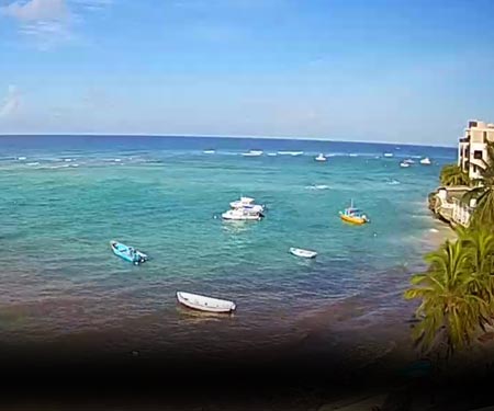 Yellow Bird Hotel Webcam in Barbados, Caribbean Islands, Resort Beach Vacation