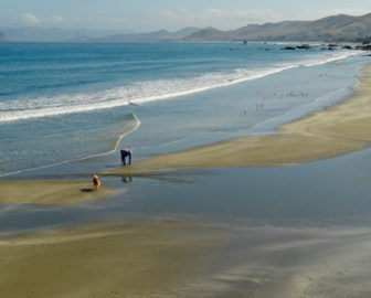 Cayucos Beach, CA Live Cam