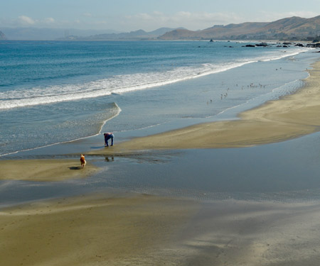 Cayucos Beach, CA Live Cam