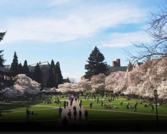 University of Washington - Quad Cam