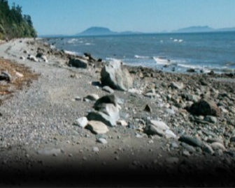 Birch Bay Getaway Clam Cam