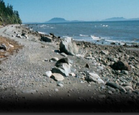 Birch Bay Getaway Clam Cam