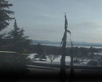 Camano Island Webcam