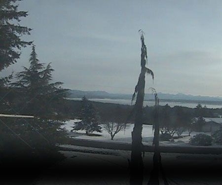 Camano Island Webcam