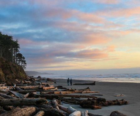 Kalaloch Lodge Live Cam