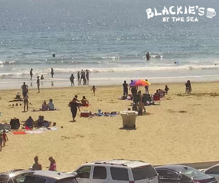 Blackie's By the Sea Live Beach Cam