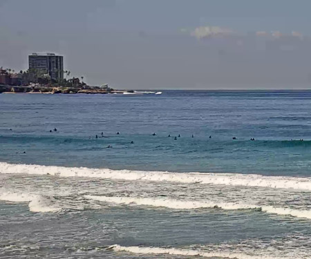 Scripps Pier Webcam La Jolla Beach, CA