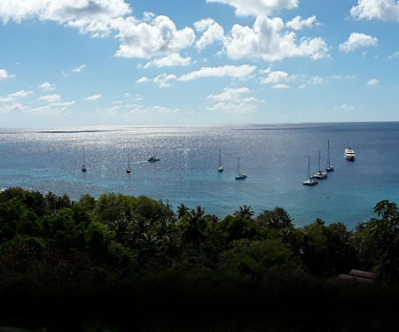 Firefly Hotel Mustique Live Webcam, St. Vincent & Grenadines