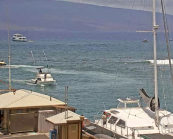 Lahaina Harbor & Breakwall Webcam in Maui Hawaii