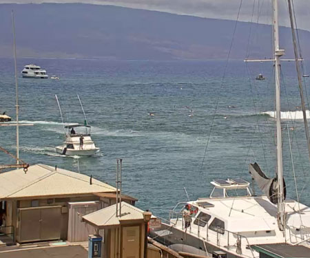 Lahaina Harbor & Breakwall Webcam in Maui Hawaii