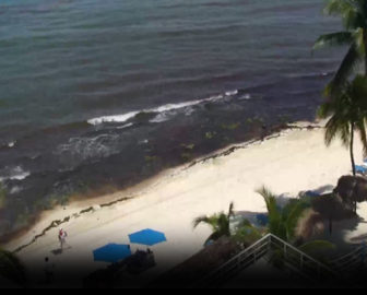 Playa del Carmen Mexico Beach Cam