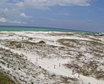 Grayton Beach Dunes Cam