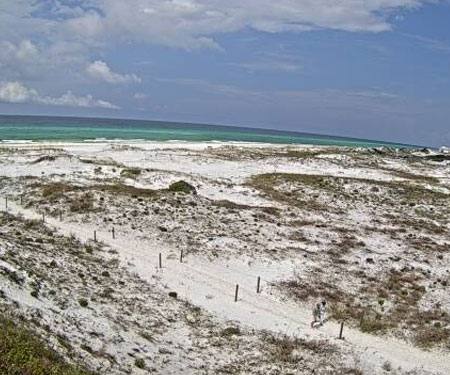 Grayton Beach Dunes Cam