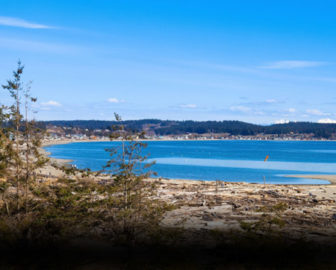 Double Bluff Beach Club Cam, Freeland WA