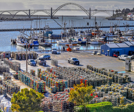 Port of Newport Oregon Marina Cam