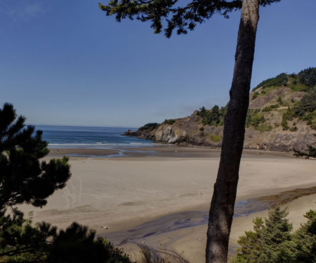 Webcam Starfish Point, Luxury Condominiums on the Oregon Coast in Newport, OR