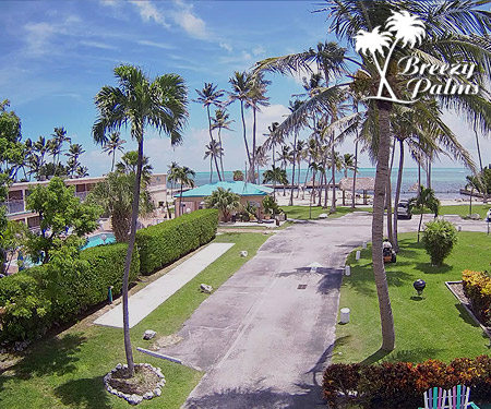 Breezy Palms Resort Live Webcam, Florida Keys