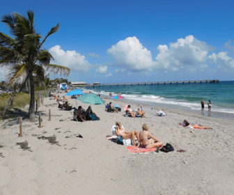 Dania Beach, FL Webcam Highlights