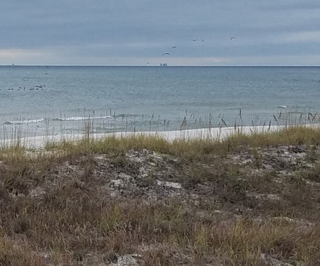 Orange Beach Gulf Shores Webcam, Alabama