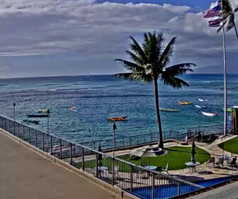 Live Elks Lodge Shaka Surf Webcam, Honolulu, Hawaii