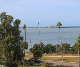 Fenway Hotel Webcam, Dunedin FL