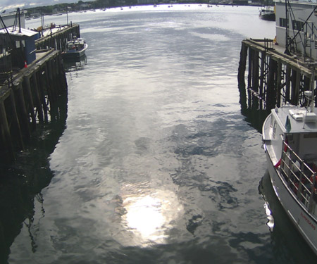 Portland Fish Exchange Pier Cam, Portland, ME