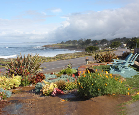 Cambria Shores Inn Live Beach Webcam