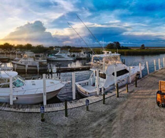 Half Shell Dockside Webcam