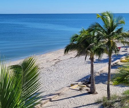 Englewood Beach, FL Webcam